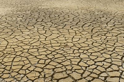 Wie erkenne ich Anzeichen von Dehydration im Körper?